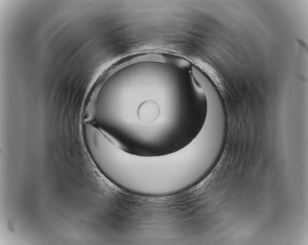 X0000096421288200802141625