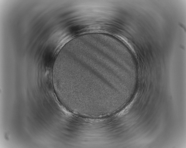 X0000096421289200802141625