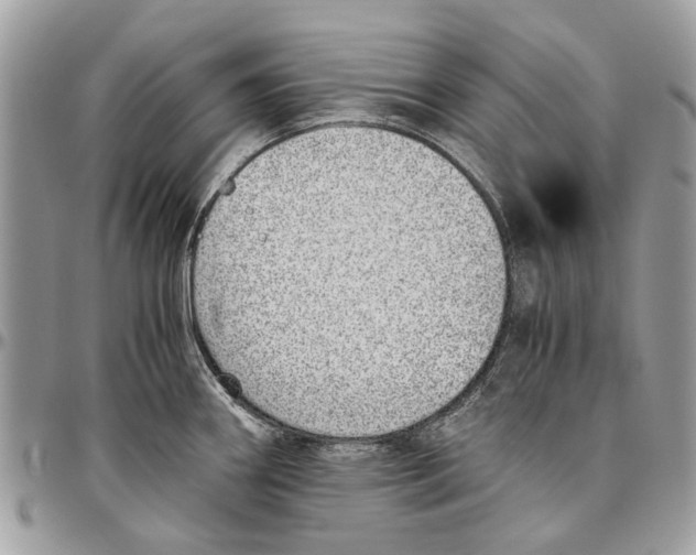 X0000096421290200802141625