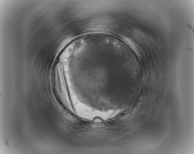 X0000096421291200802141625