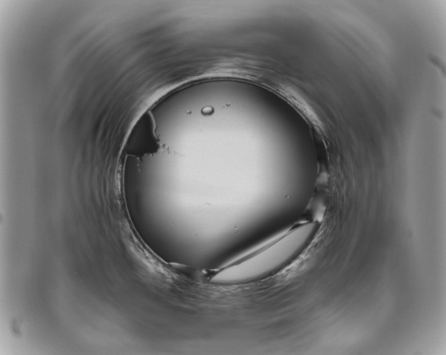 X0000096421292200802141625