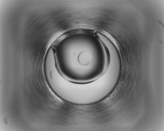 X0000096421293200802141625