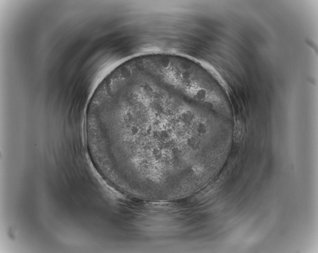 X0000096421295200802141625