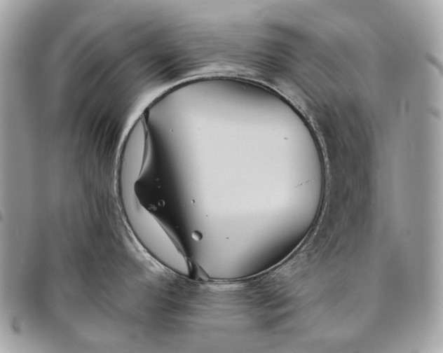 X0000096421296200802141625