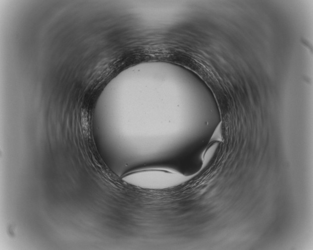 X0000096421298200802141624