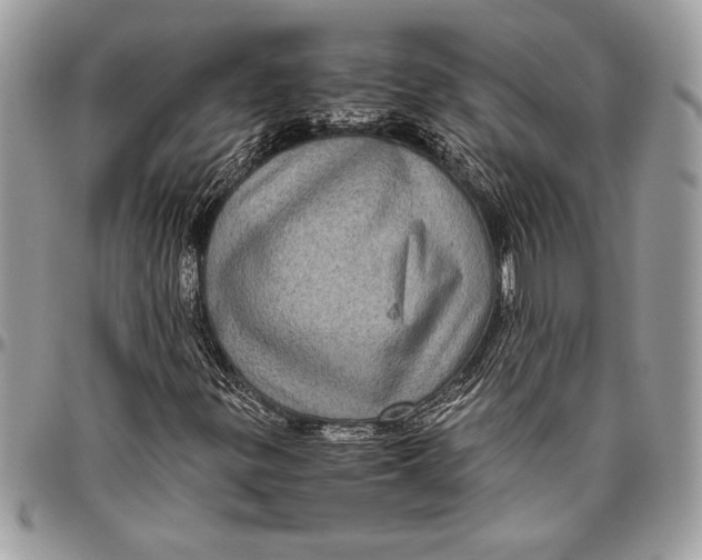 X0000096421299200802141624