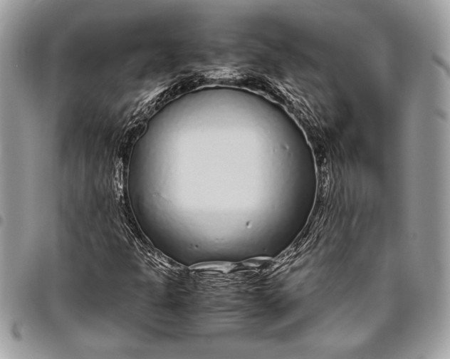 X0000096421301200802141624