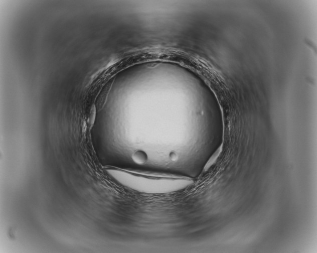 X0000096421302200802141624