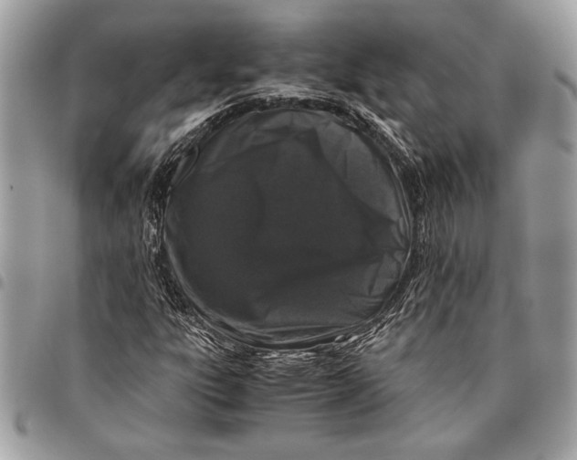 X0000096421303200802141624