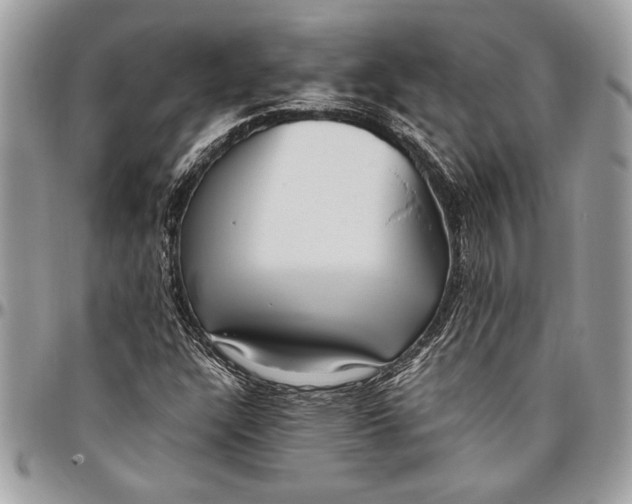 X0000096421304200802141624