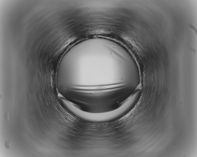 X0000096421305200802141624