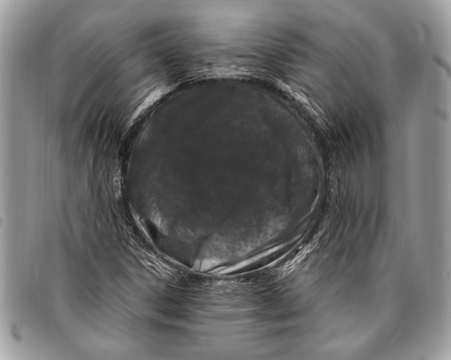 X0000096421306200802141624