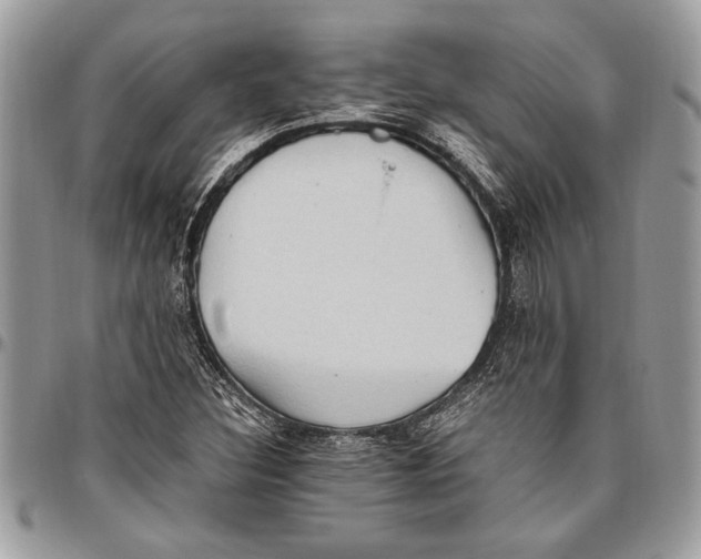 X0000096421308200802141624