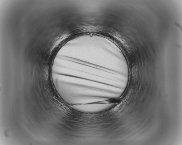 X0000096421309200802141624