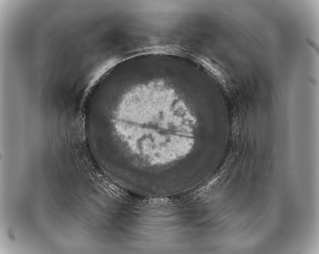 X0000096421310200802141624