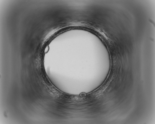 X0000096421311200802141624