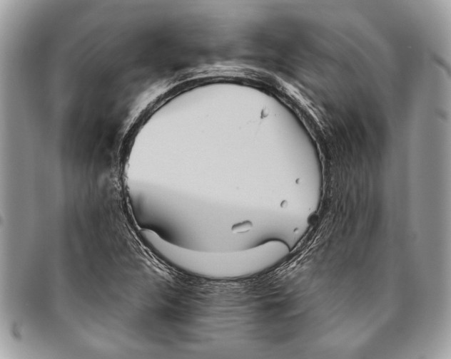 X0000096421312200802141624