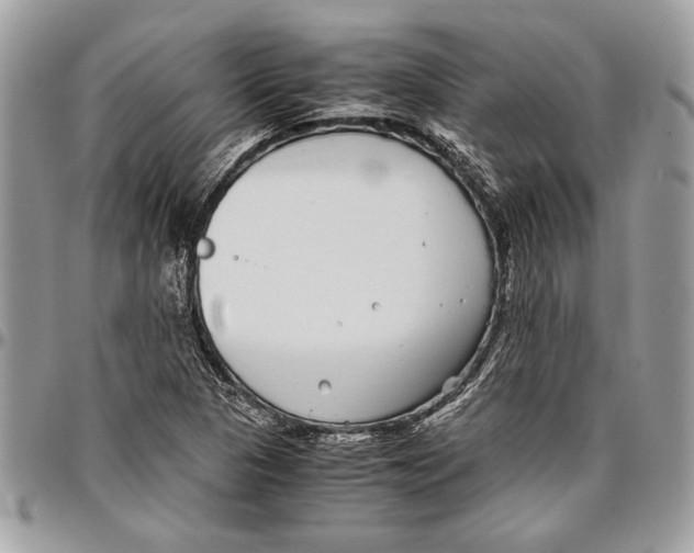 X0000096421313200802141624