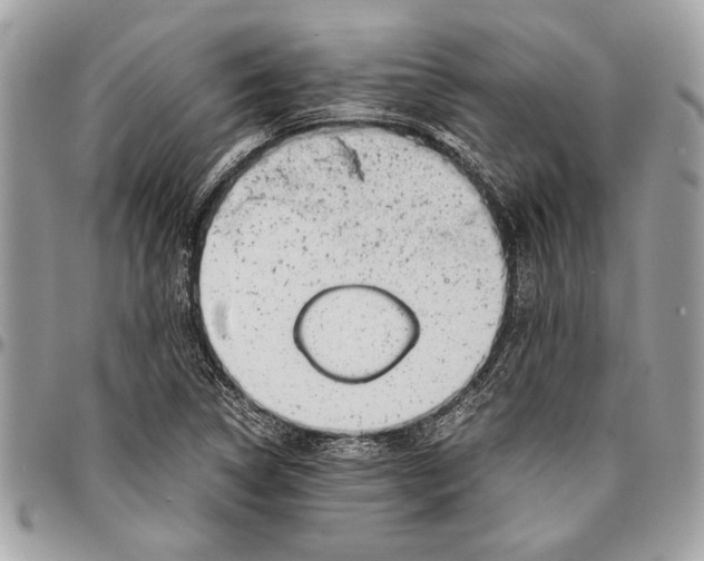 X0000096421314200802141624