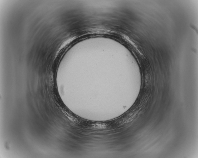 X0000096421315200802141624