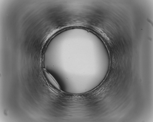 X0000096421316200802141624