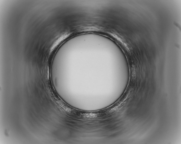 X0000096421317200802141624