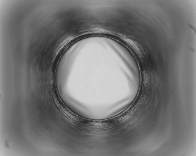 X0000096421318200802141624