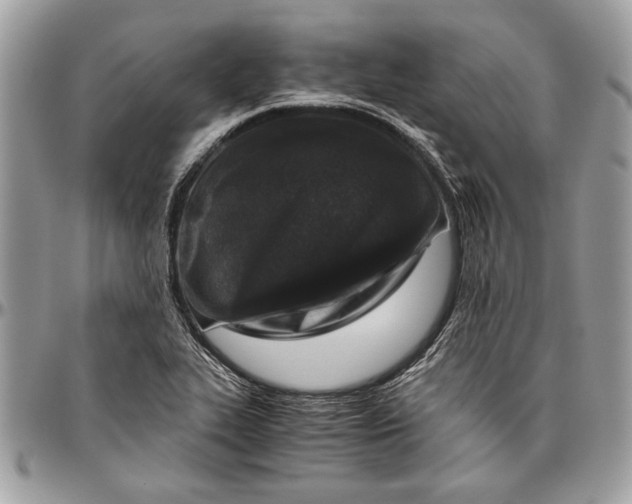 X0000096421319200802141624