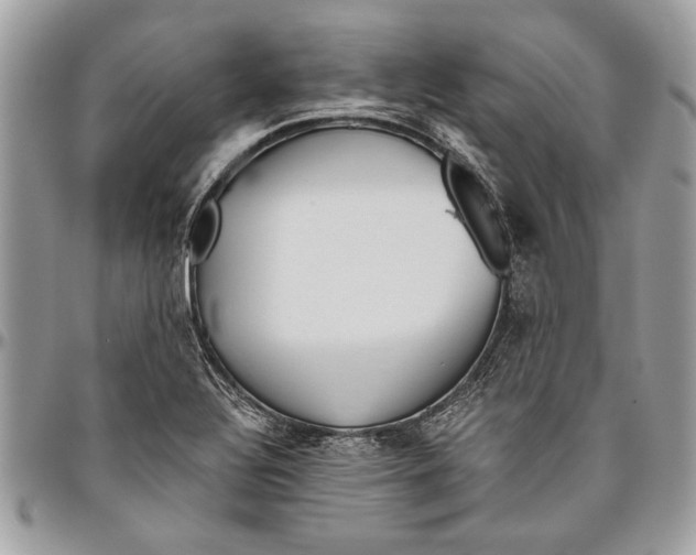 X0000096421320200802141624