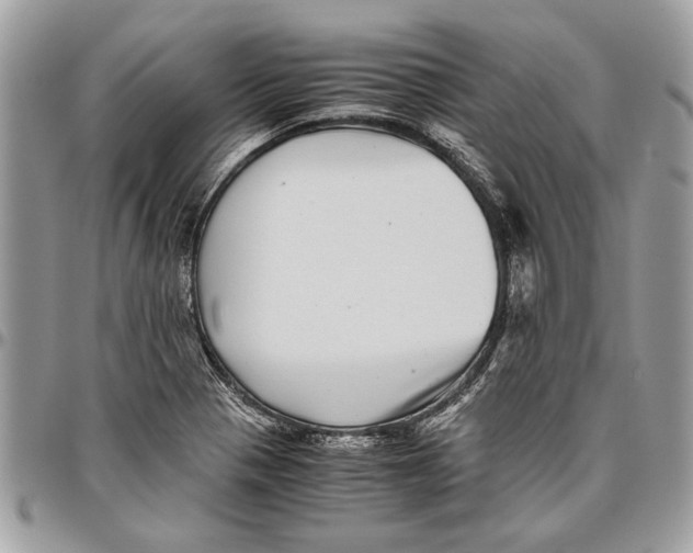 X0000096421321200802141624