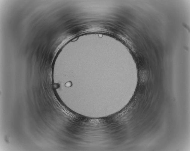 X0000096421322200802141624