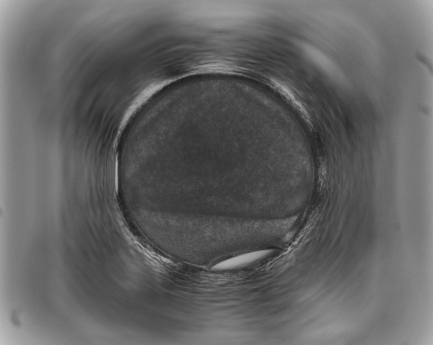 X0000096421323200802141624