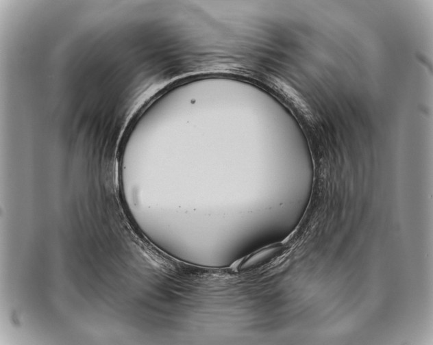 X0000096421324200802141624