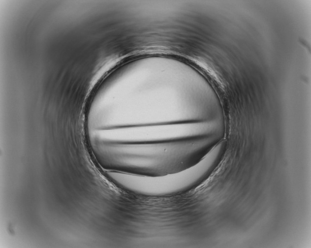 X0000096421325200802141624