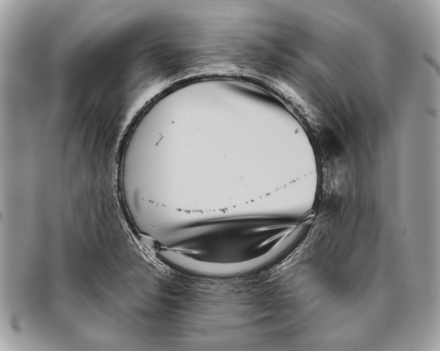 X0000096421326200802141624