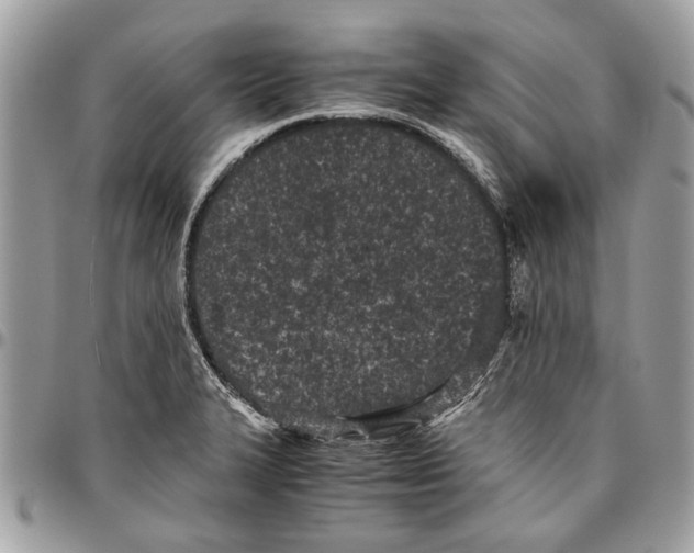 X0000096421327200802141624