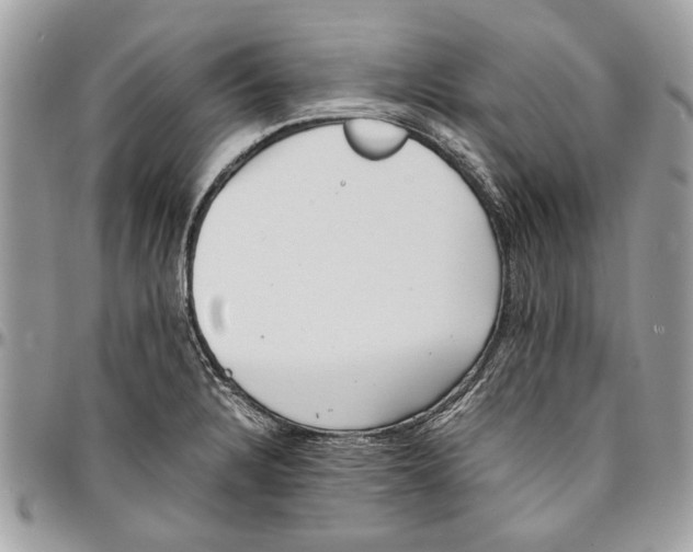 X0000096421328200802141624