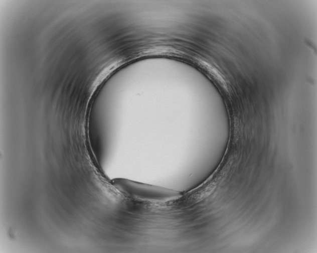 X0000096421330200802141624