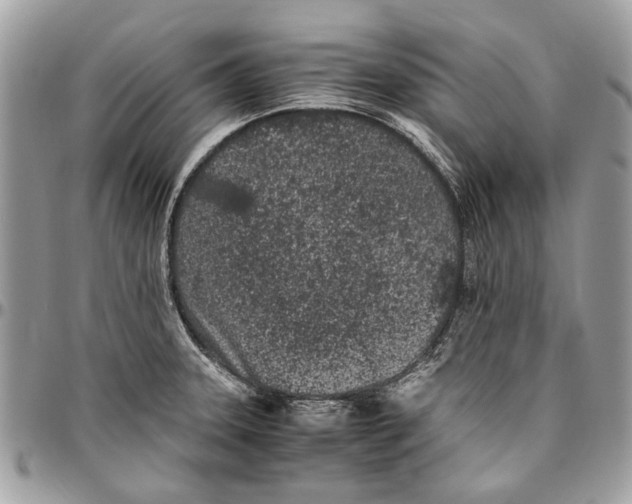 X0000096421331200802141624