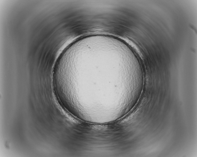 X0000096421333200802141624