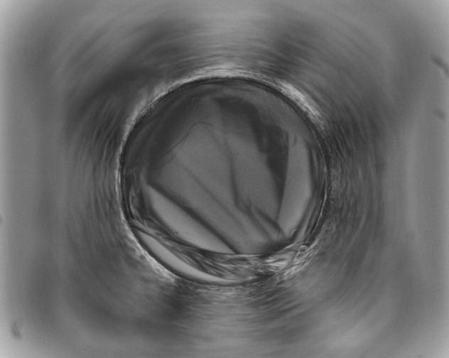 X0000096421334200802141624