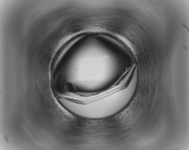 X0000096421335200802141624