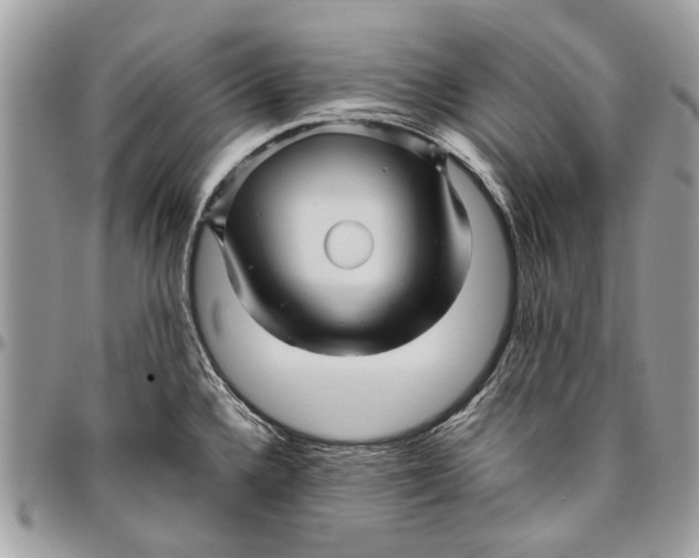 X0000096421336200802141624