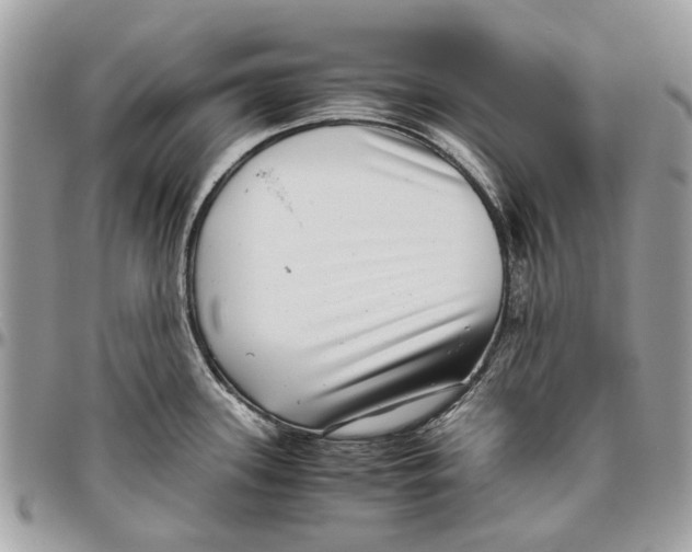 X0000096421339200802141624