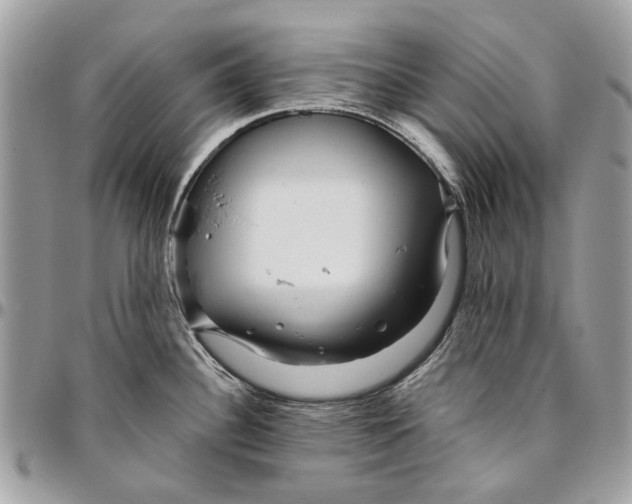 X0000096421340200802141624