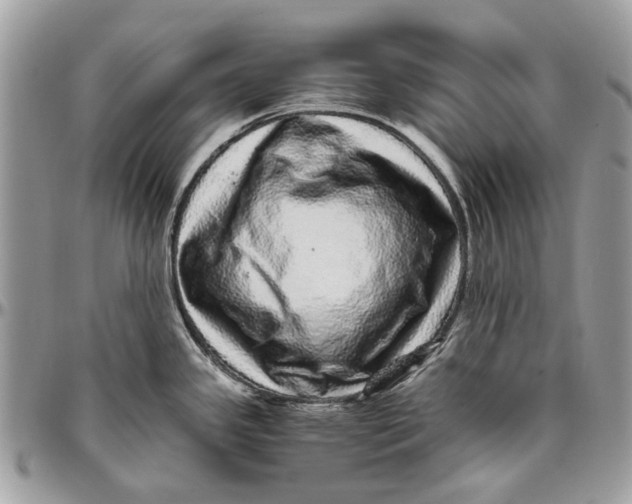 X0000096421341200802141625