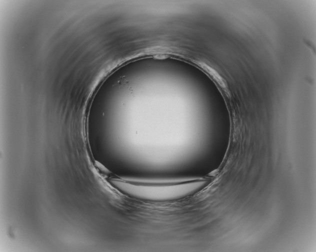 X0000096421342200802141625