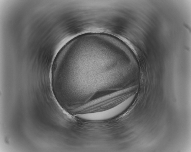 X0000096421343200802141625