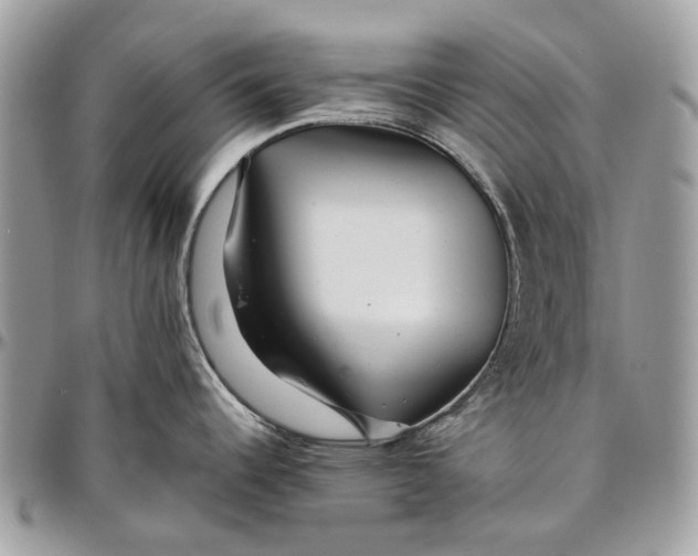 X0000096421344200802141625