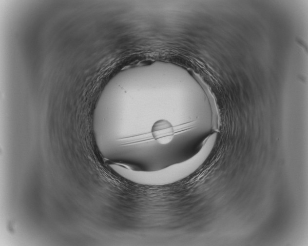 X0000096421345200802141624